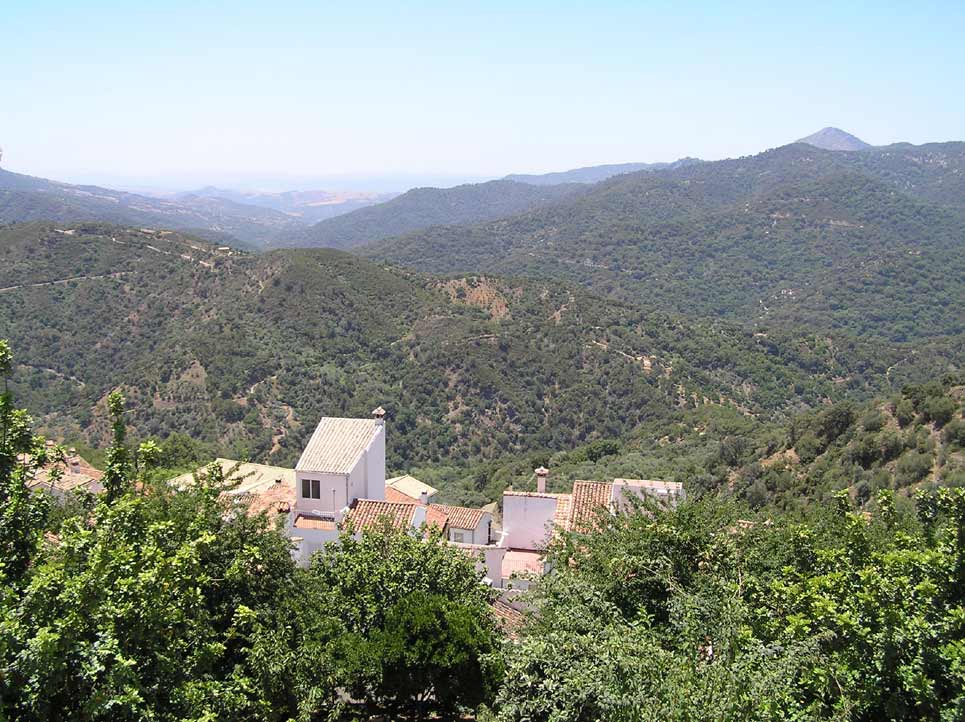 mountain view